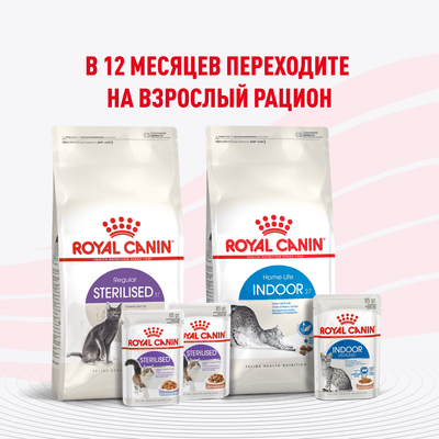 Влажный корм Royal Canin для стерилизованных котят c 6 до 12 мес Kitten Sterilised в соусе 85 г Влажный корм Royal Canin для стерилизованных котят c 6 до 12 мес Kitten Sterilised в соусе 85 г