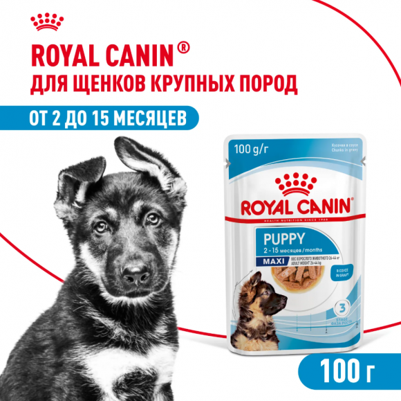 Влажный корм Royal Canin для щенков крупных пород в соусе Maxi Puppy 100 г