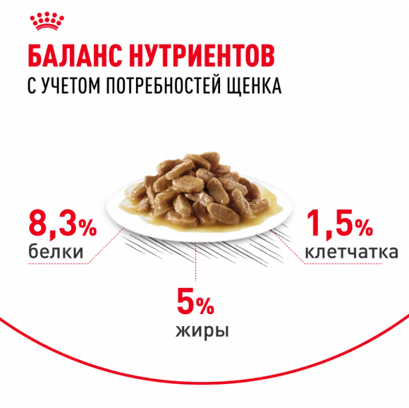 Влажный корм Royal Canin для щенков крупных пород в соусе Maxi Puppy 100 г