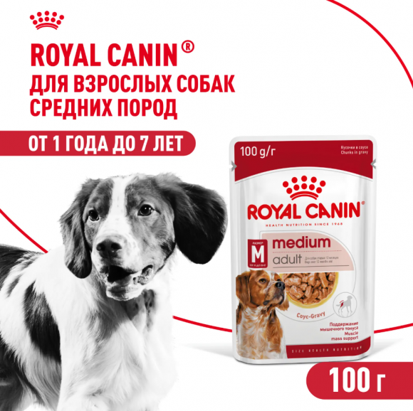 Влажный корм Royal Canin для взрослых собак средних пород в соусе Medium Adult 100 г