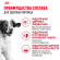 Влажный корм Royal Canin для взрослых собак средних пород в соусе Medium Adult 100 г