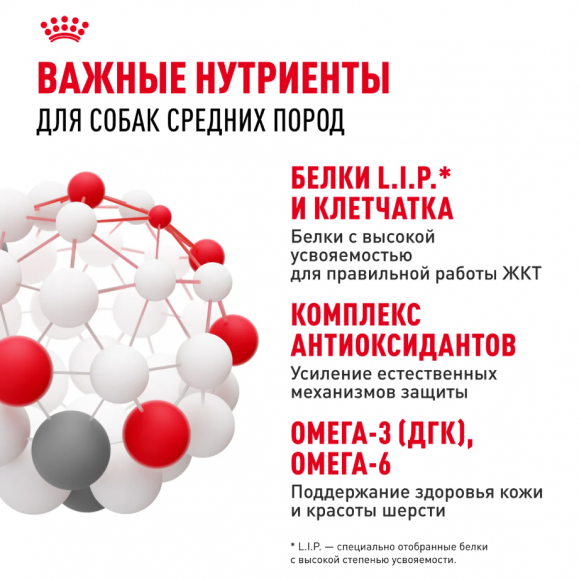 Влажный корм Royal Canin для взрослых собак средних пород в соусе Medium Adult 100 г