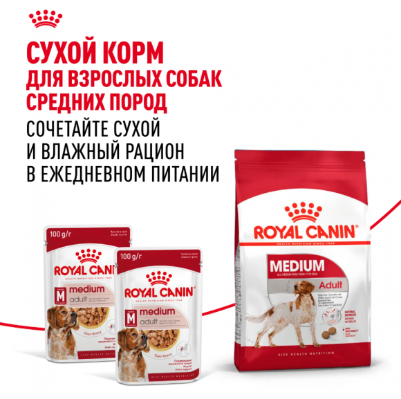 Влажный корм Royal Canin для взрослых собак средних пород в соусе Medium Adult 100 г