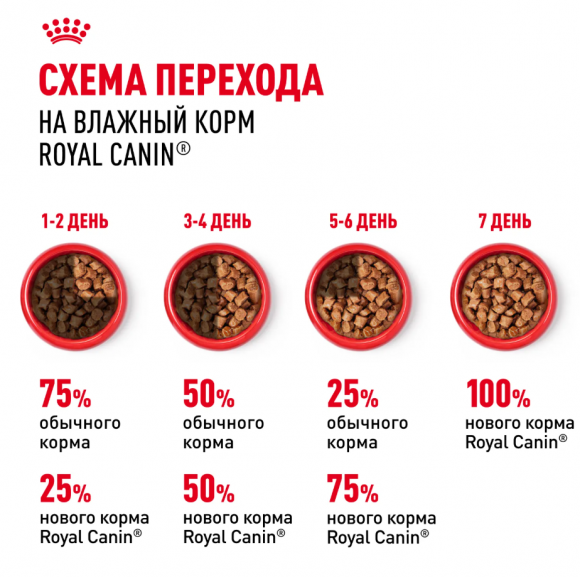 Влажный корм Royal Canin для взрослых собак средних пород в соусе Medium Adult 100 г