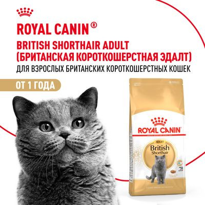 Корм Royal Canin для британских короткошерстных кошек (1-10 лет) British Shorthair 34 400 г
