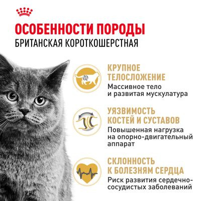 Корм Royal Canin для британских короткошерстных кошек (1-10 лет) British Shorthair 34 400 г