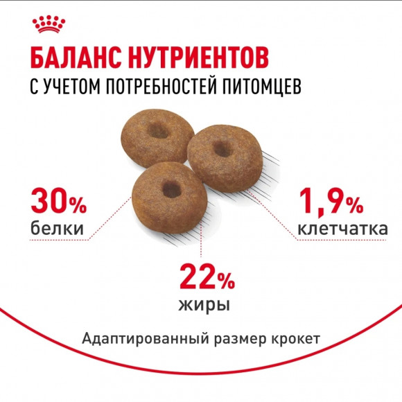 Корм Royal Canin для щенков крупных пород до 2х месяцев, беременных и кормящих собак Maxi Starter 15кг
