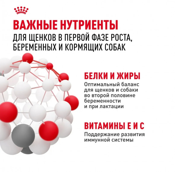 Корм Royal Canin для щенков крупных пород до 2х месяцев, беременных и кормящих собак Maxi Starter 15кг