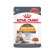 Влажный корм Royal Canin для кошек в соусе для поддержания здоровья кожи и шерсти Hair&Skin 85 г