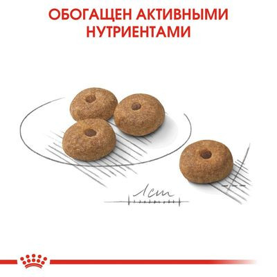 Корм Royal Canin для взрослых стерилизованных собак мелких пород Mini Sterilised 3 кг