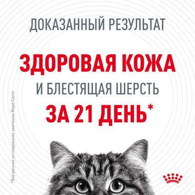 Влажный корм Royal Canin для кошек в желе для поддержания здоровья кожи и шерсти Hair&Skin 85 г