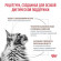 Ветеринарный корм Royal Canin для кошек при заболеваниях печени Hepatic HF26 2 кг Ветеринарный корм Royal Canin для кошек при заболеваниях печени Hepatic HF26 2 кг