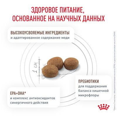 Ветеринарный корм Royal Canin для кошек при заболеваниях печени Hepatic HF26 2 кг Ветеринарный корм Royal Canin для кошек при заболеваниях печени Hepatic HF26 2 кг