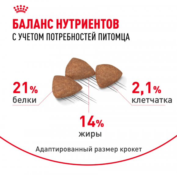 Корм Royal Canin для собак малых пород, живущих преимущественно в домашних условиях Mini Indor Adult 3 кг