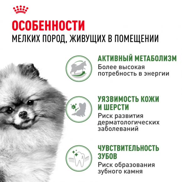 Корм Royal Canin для собак малых пород, живущих преимущественно в домашних условиях Mini Indor Adult 3 кг