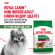 Корм Royal Canin для собак малых пород, живущих преимущественно в домашних условиях Mini Indor Adult 3 кг