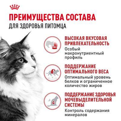 Влажный корм Royal Canin кусочки в соусе для кошек 1-7 лет Instinctive 85 г