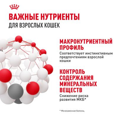 Влажный корм Royal Canin кусочки в соусе для кошек 1-7 лет Instinctive 85 г