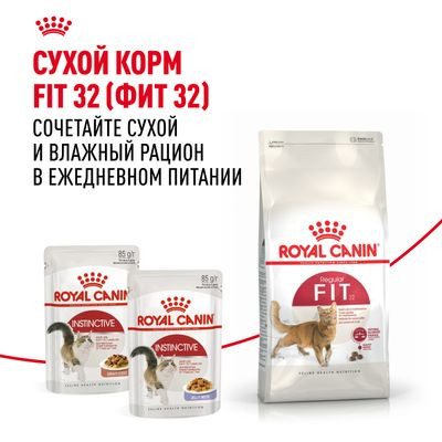 Влажный корм Royal Canin кусочки в соусе для кошек 1-7 лет Instinctive 85 г