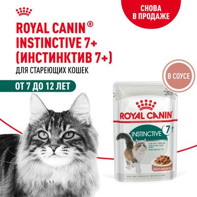 Влажный корм Royal Canin кусочки в соусе для кошек в возрасте старше 7 лет Instinctive 7+ 85гр