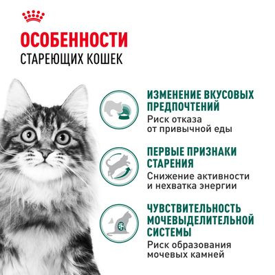 Влажный корм Royal Canin кусочки в соусе для кошек в возрасте старше 7 лет Instinctive 7+ 85гр