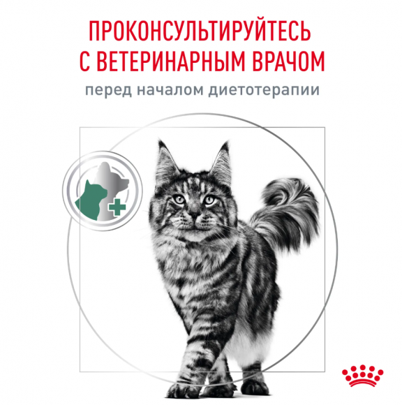 Ветеринарный влажный корм Royal Canin для кошек контроль избыточного веса Satiety Weight Management 85 г