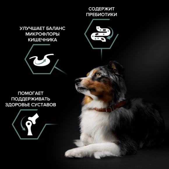 Корм Purina Pro Plan SENSITIVE DIGESTION для взрослых собак средних пород с чувствительным пищеварением с ягненком, 7 кг
