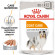 Влажный корм Royal Canin для взрослых собак всех пород Coat Care 85гр (паштет)