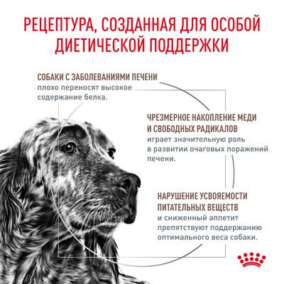 Ветеринарный корм Royal Canin для собак при заболевании печени Hepatic HF16 1,5 кг Ветеринарный корм Royal Canin для собак при заболевании печени Hepatic HF16 1,5 кг