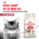 Корм Royal Canin для активных кошек (1-7 лет) Fit 32 400 г Корм Royal Canin для активных кошек (1-7 лет) Fit 32 400 г