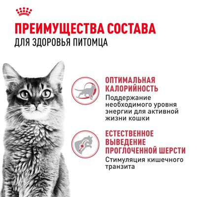 Корм Royal Canin для активных кошек (1-7 лет) Fit 32 400 г Корм Royal Canin для активных кошек (1-7 лет) Fit 32 400 г