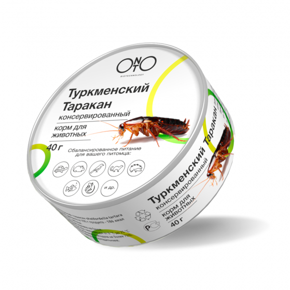 Туркменский таракан консервированный ONTO, 40 г
