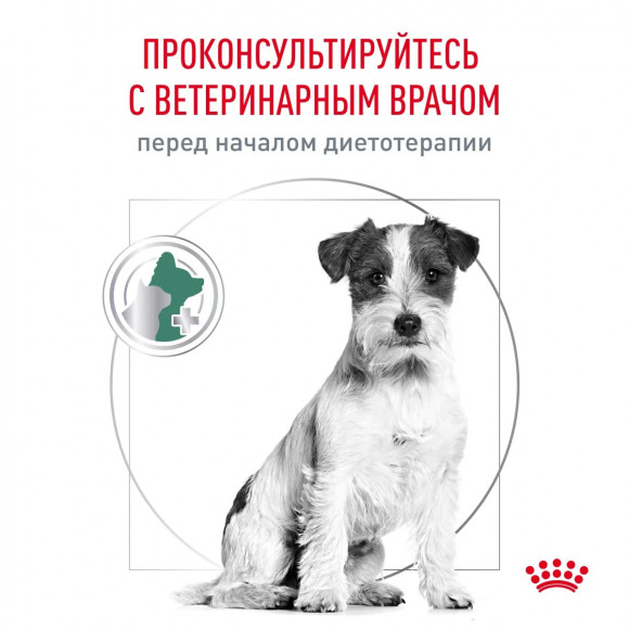 Ветеринарный корм Royal Canin для собак малых пород для контроля избыточного веса Satiety Weight Management Small Dog 500 г