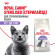 Корм Royal Canin для стерилизованных кошек Sterilised 37 1,2 кг