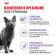 Корм Royal Canin для стерилизованных кошек Sterilised 37 1,2 кг