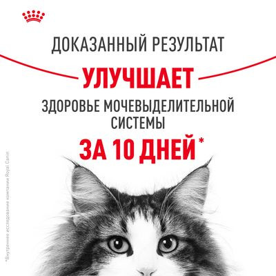 Корм Royal Canin для взрослых кошек в целях профилактики мочекаменной болезни Urinary Care 400 г Корм Royal Canin для взрослых кошек в целях профилактики мочекаменной болезни Urinary Care 400 г