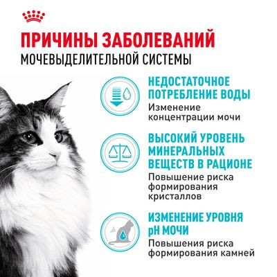 Корм Royal Canin для взрослых кошек в целях профилактики мочекаменной болезни Urinary Care 4кг