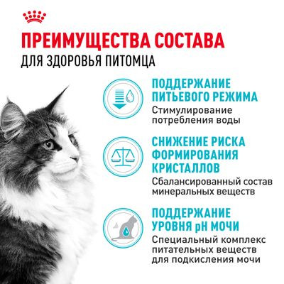 Корм Royal Canin для взрослых кошек в целях профилактики мочекаменной болезни Urinary Care 4кг