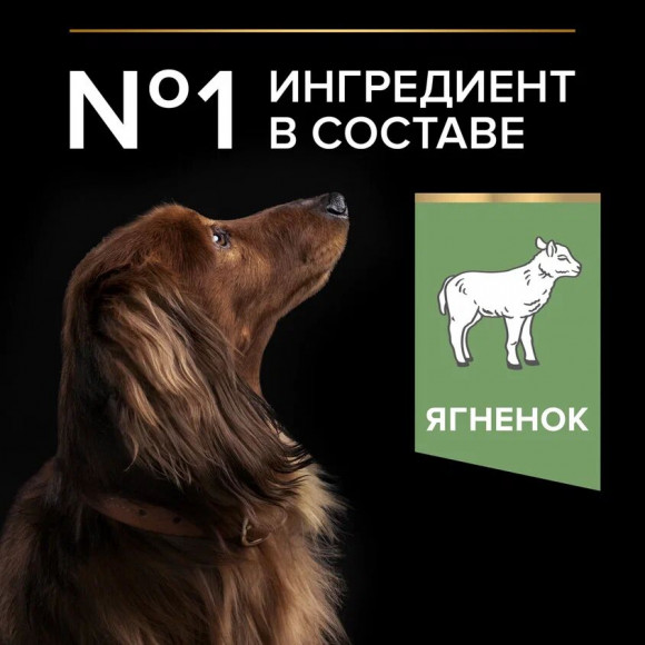Корм Purina Pro Plan SENSITIVE DIGESTION для взрослых собак мелких и карликовых пород с чувствительным пищеварением с ягненком, 3 кг Корм Purina Pro Plan SENSITIVE DIGESTION для взрослых собак мелких и карликовых пород с чувствительным пищеварением с ягненком, 3 кг