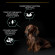 Корм Purina Pro Plan SENSITIVE DIGESTION для взрослых собак мелких и карликовых пород с чувствительным пищеварением с ягненком, 3 кг Корм Purina Pro Plan SENSITIVE DIGESTION для взрослых собак мелких и карликовых пород с чувствительным пищеварением с ягненком, 3 кг