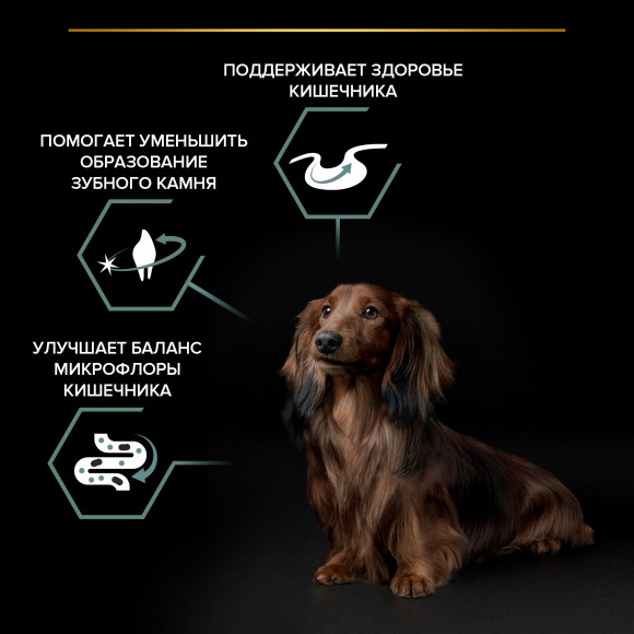 Корм Purina Pro Plan SENSITIVE DIGESTION для взрослых собак мелких и карликовых пород с чувствительным пищеварением с ягненком, 3 кг Корм Purina Pro Plan SENSITIVE DIGESTION для взрослых собак мелких и карликовых пород с чувствительным пищеварением с ягненком, 3 кг