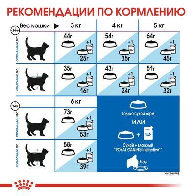 Корм Royal Canin для домашних длинношерстных кошек Indoor Long Hair 2 кг Корм Royal Canin для домашних длинношерстных кошек Indoor Long Hair 2 кг