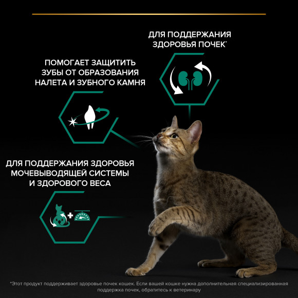 Корм Purina Pro Plan для кастрированных/стерилизованных кошек Лосось 10кг Корм Purina Pro Plan для кастрированных/стерилизованных кошек Лосось 10кг
