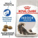 Корм Royal Canin для домашних длинношерстных кошек Indoor Long Hair 400 г Корм Royal Canin для домашних длинношерстных кошек Indoor Long Hair 400 г