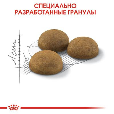 Корм Royal Canin для домашних длинношерстных кошек Indoor Long Hair 400 г Корм Royal Canin для домашних длинношерстных кошек Indoor Long Hair 400 г