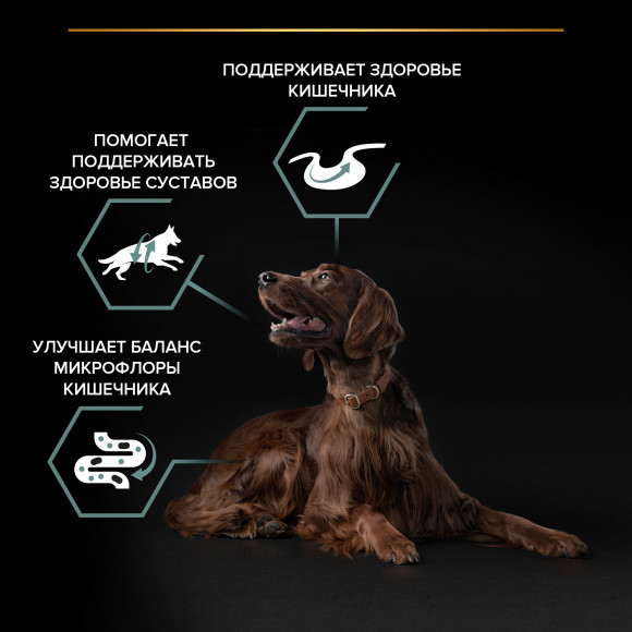 АКЦИЯ!!! Корм Purina Pro Plan для взрослых собак крупных пород с атлетическим телосложением с чувствительным пищеварением, с ягненком и рисом, 12 кг + 2 кг в ПОДАРОК! АКЦИЯ!!! Корм Purina Pro Plan для взрослых собак крупных пород с атлетическим телосложением с чувствительным пищеварением, с ягненком и рисом, 12 кг + 2 кг в ПОДАРОК!