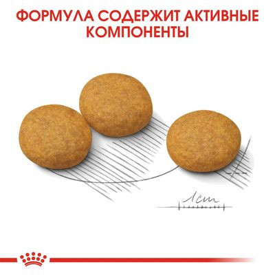 Корм Royal Canin для собак средних пород с чувствительной кожей Medium DermaComfort 3 кг Корм Royal Canin для собак средних пород с чувствительной кожей Medium DermaComfort 3 кг