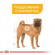 Корм Royal Canin для собак средних пород с чувствительной кожей Medium DermaComfort 3 кг Корм Royal Canin для собак средних пород с чувствительной кожей Medium DermaComfort 3 кг