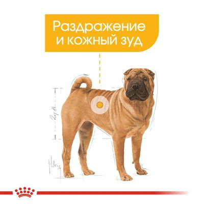 Корм Royal Canin для собак средних пород с чувствительной кожей Medium DermaComfort 3 кг Корм Royal Canin для собак средних пород с чувствительной кожей Medium DermaComfort 3 кг