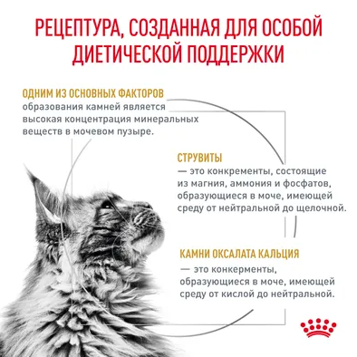 Ветеринарный влажный корм Royal Canin для кошек "Лечение и профилактика МКБ" Urinary S/O 85 г
